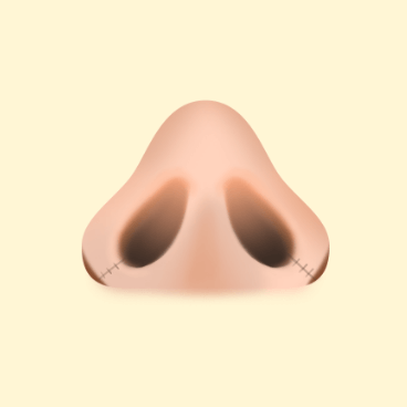 https://beauty.findclinic.kr/wp-content/uploads/sites/14/2020/05/alar-reduction-process02.png