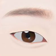 https://beauty.findclinic.kr/wp-content/uploads/sites/14/2020/05/incision-double-process01.png