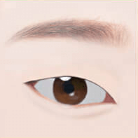 https://beauty.findclinic.kr/wp-content/uploads/sites/14/2020/05/quick-burial-process01.png