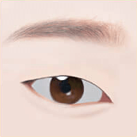 https://beauty.findclinic.kr/wp-content/uploads/sites/14/2020/05/quick-burial-process02.png