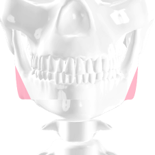 https://beauty.findclinic.kr/wp-content/uploads/sites/14/2020/06/chin-process-14.png