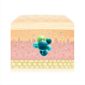 https://beauty.findclinic.kr/wp-content/uploads/sites/14/2020/07/moisture-process02.png